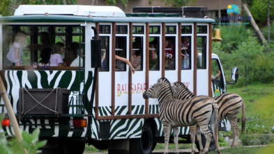 Paket Family Tour Bali 1 Hari “Kids Friendly”