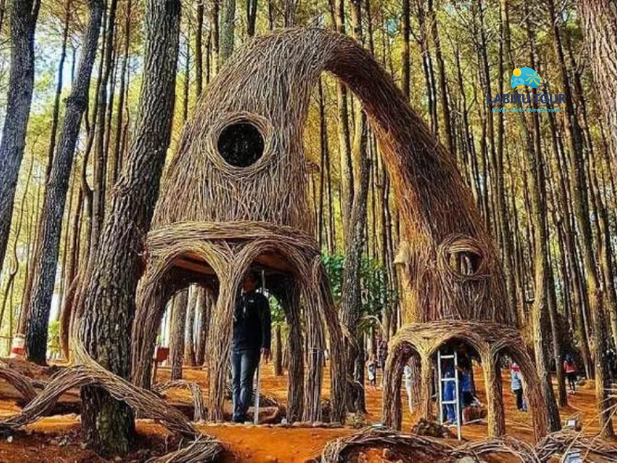 Pinus Pengger | LABIRU TOUR Jogja