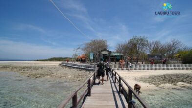 Pulau Menjangan