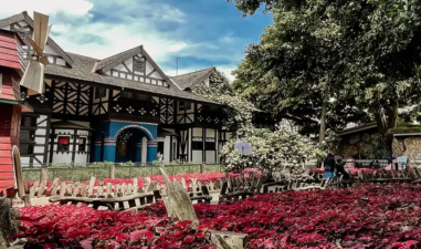 Wisata Asyik Bareng Keluarga di Farm House Lembang Bandung