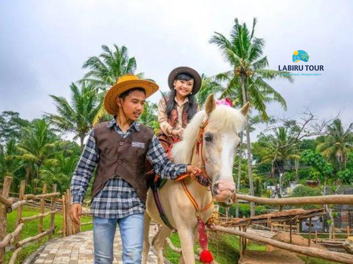 Family Tour Semarang 2H1M | LABIRU TOUR Jogja
