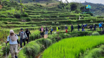 Fullboard Corporate Trecking Sentul