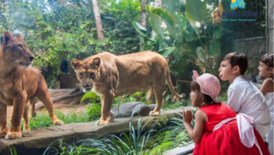 Paket Tour Bali 1 Hari – Family Animal Friendly