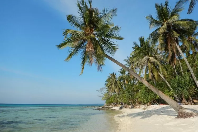 Pantai Tanjung Gelam Karimunjawa — pohon kelapa miring dan sunset terbaik