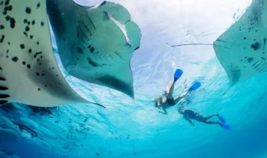 Layaknya Moana, Bersiaplah Snorkeling di Labuan Bajo dan Jelajahi Indahnya Lautan