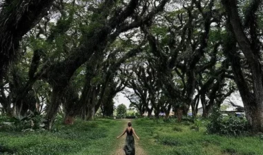 7 Spot Wisata di Banyuwangi yang Wajib Masuk Bucket List 2025