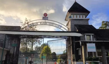 7 Rekomendasi Wisata Kebun Raya di Indonesia