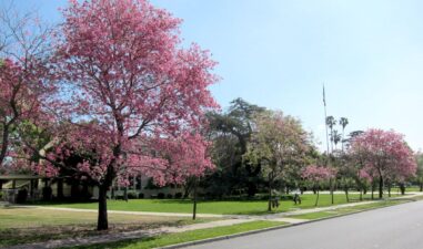 6 Spot Hidden di Jakarta buat Nikmatin Weekend Tanpa Macet