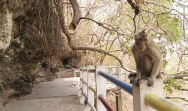 5 Aktivitas Seru yang Bisa Kamu Lakuin di Semarang Selain ke Kota Lama