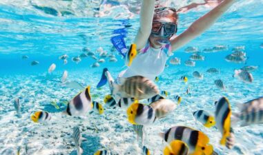 5 Tempat Wisata Edukasi Anak di Pulau Komodo yang Wajib Dikunjungi