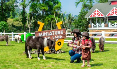 7 Wisata Keluarga di Bogor yang Seru dan Ramah Anak