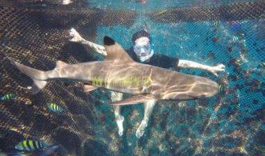 7 Wisata Seru Banyuwangi, Wajib Masuk Wishlist!