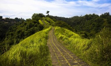 8 Tempat Jogging di Bali dengan Pemandangan Indah