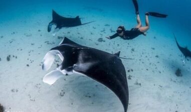 7 Wisata Ekstrem Labuan Bajo yang Penuh Tantangan