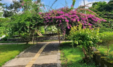 7 Spot Jogging Asri di Jogja Biar Lari Makin Seru