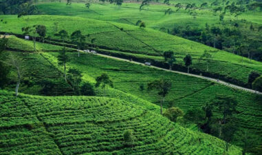 7 Wisata Alam di Karanganyar untuk Healing dan Camping