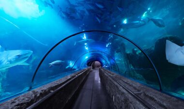 7 Tempat Wisata Keluarga di Jakarta yang Ramah untuk Segala Usia